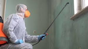 Professional Mold Removal & Remediation in Lake Panasoffkee, FL